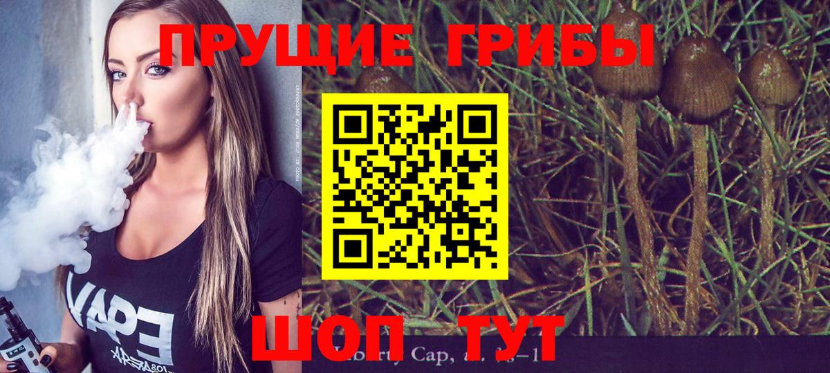 Магадан  Галлюциногенные грибы Psilocybine cubensis  Вход с VPN  Галлюциногенные грибы MAGIC MUSHROOMS 